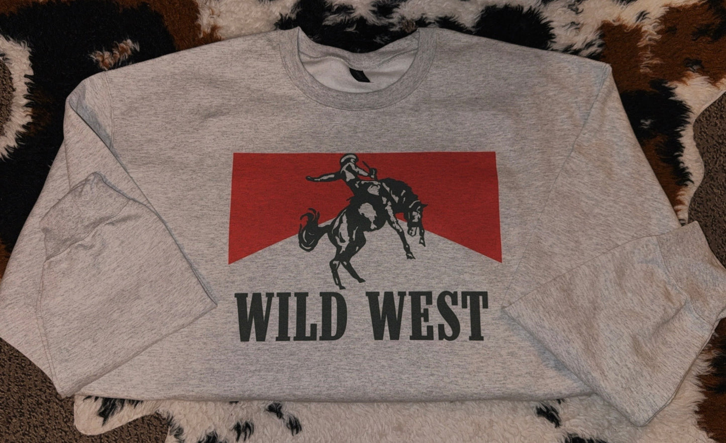 Wild West Cowboy