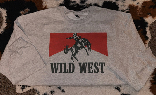 Wild West Cowboy