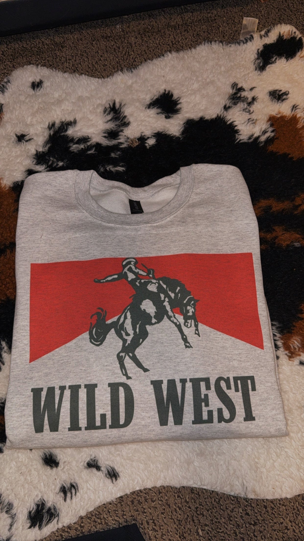 Wild West Cowboy