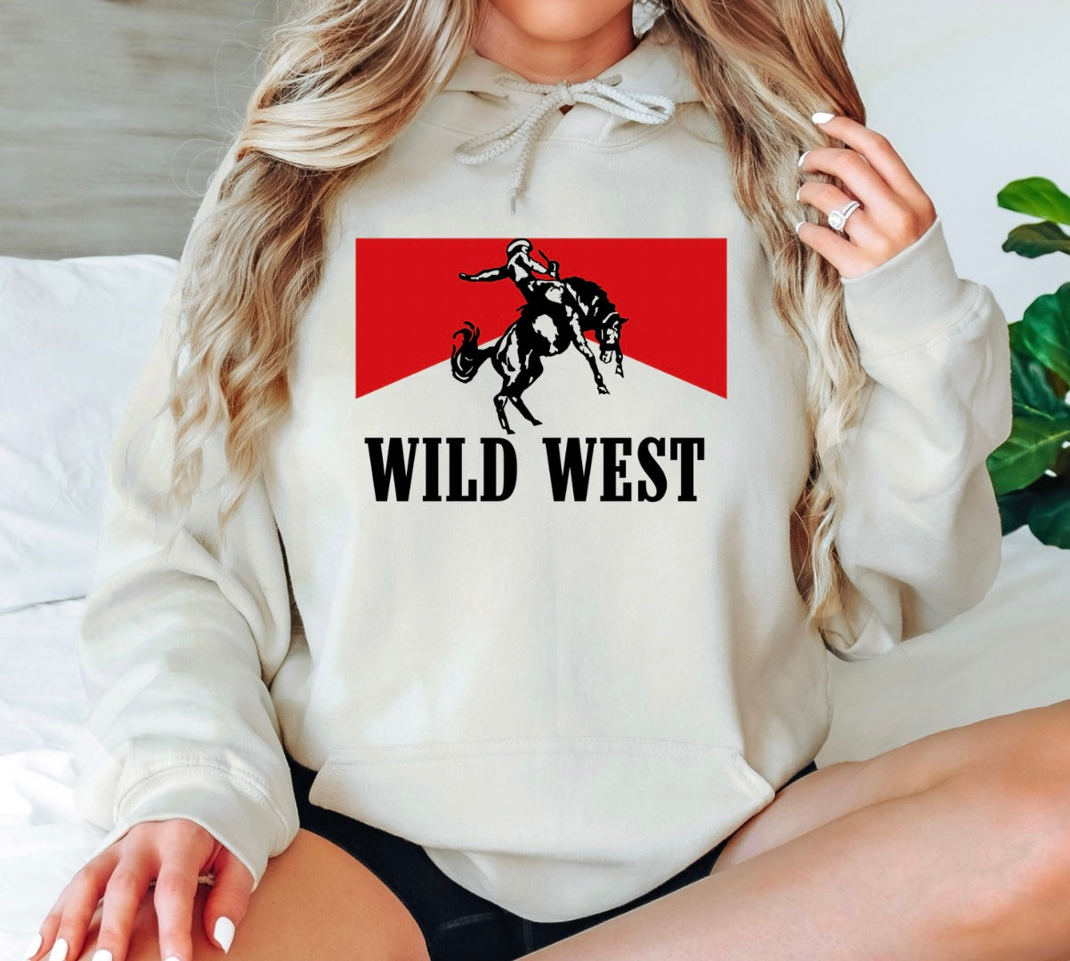 Wild West Cowboy