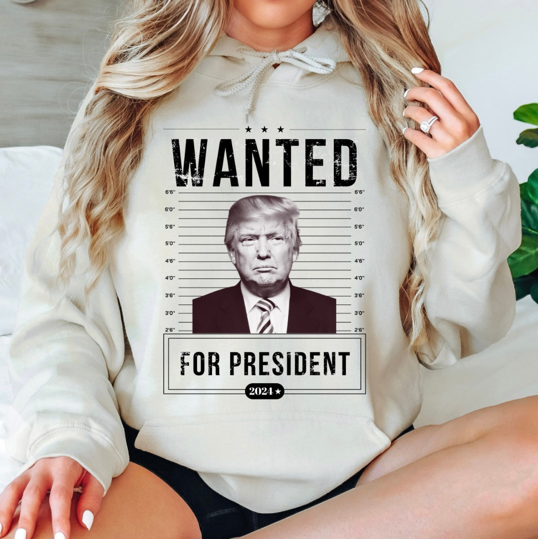 Wanted For President