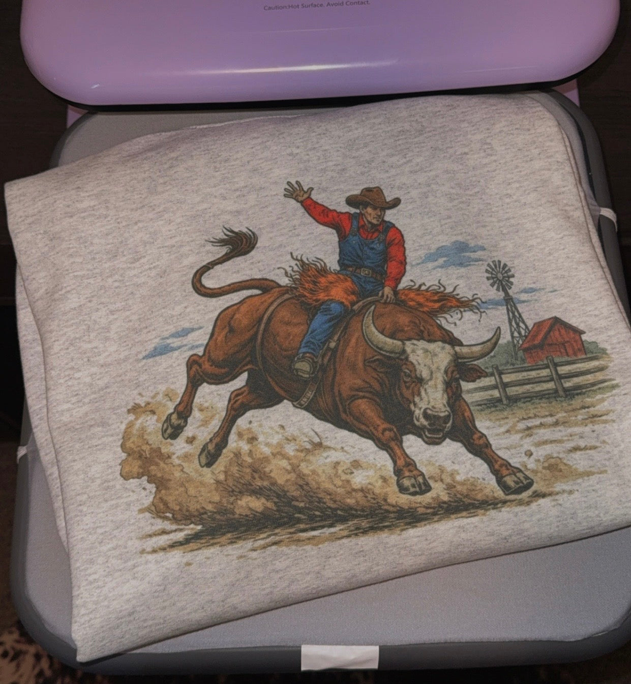 Rodeo Bull