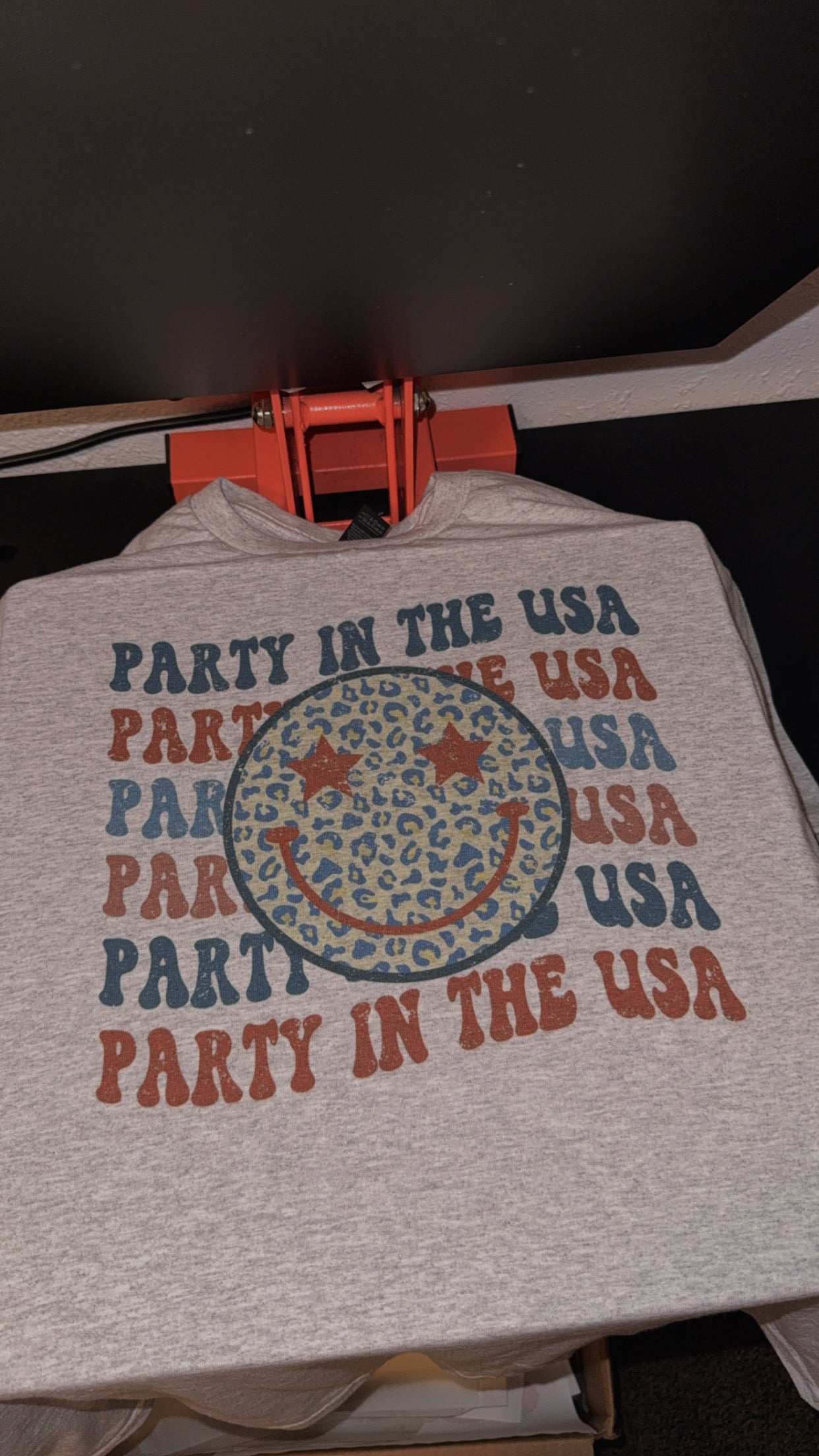Party in the USA
