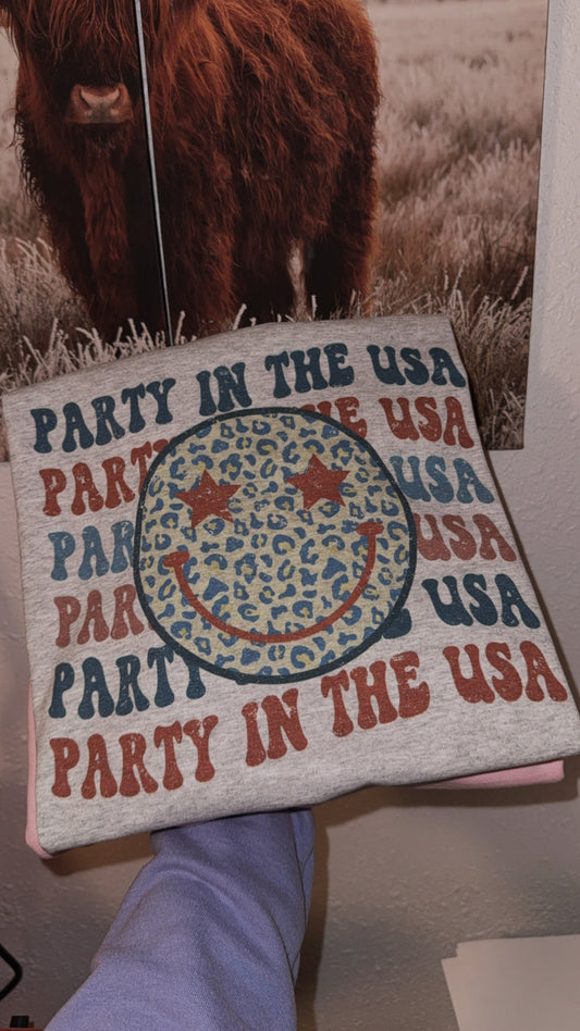 Party in the USA