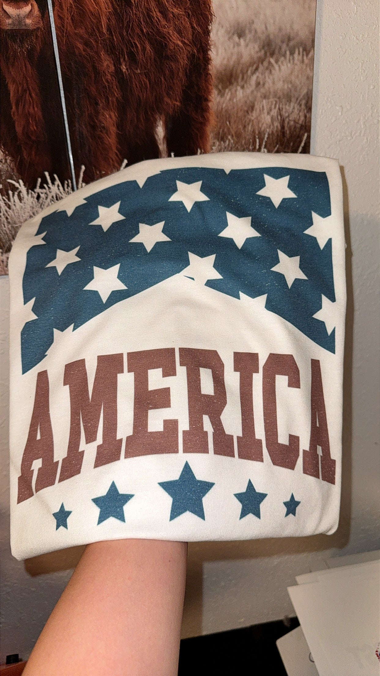 America Stars and Stripes
