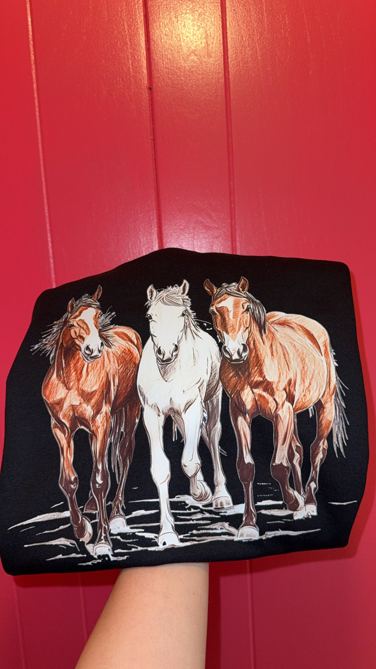 Wild Horses