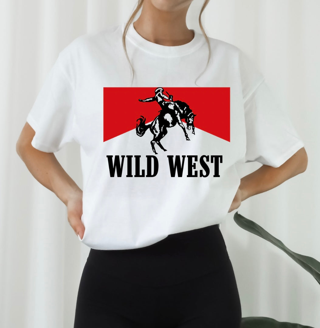 Wild West Cowboy
