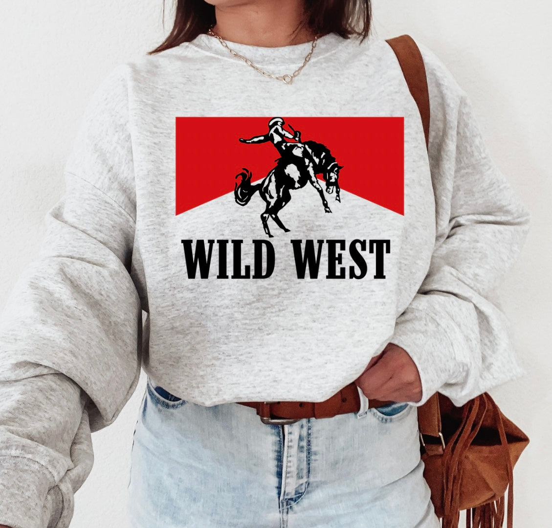 Wild West Cowboy