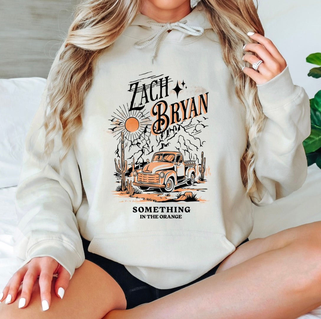 Something in the Orange